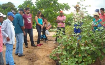Des nouvelles de la thèse de Sébastien Carcelle
