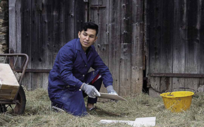 Revue de presse du mois de mai